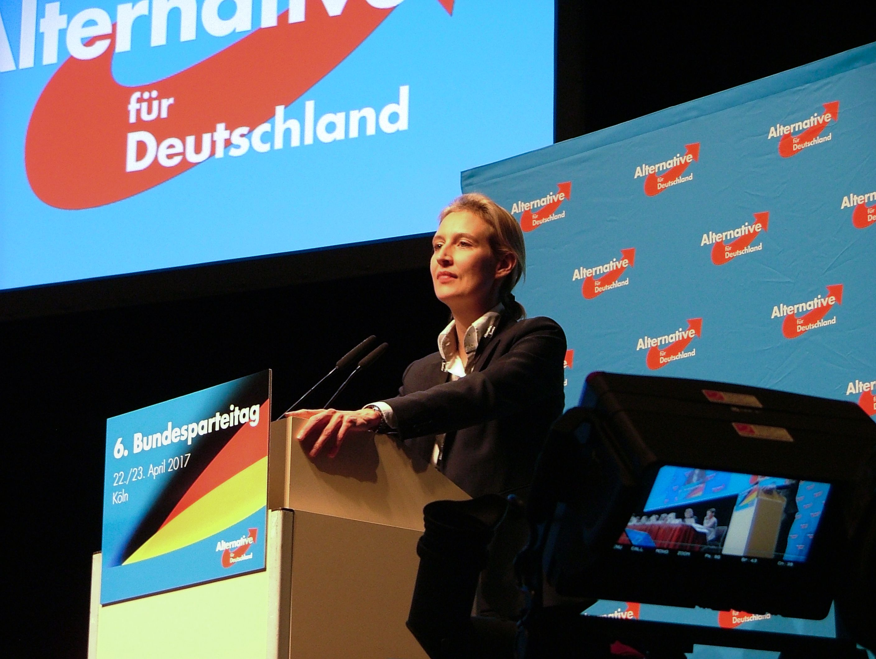 The Rise of Alternative für Deutschland