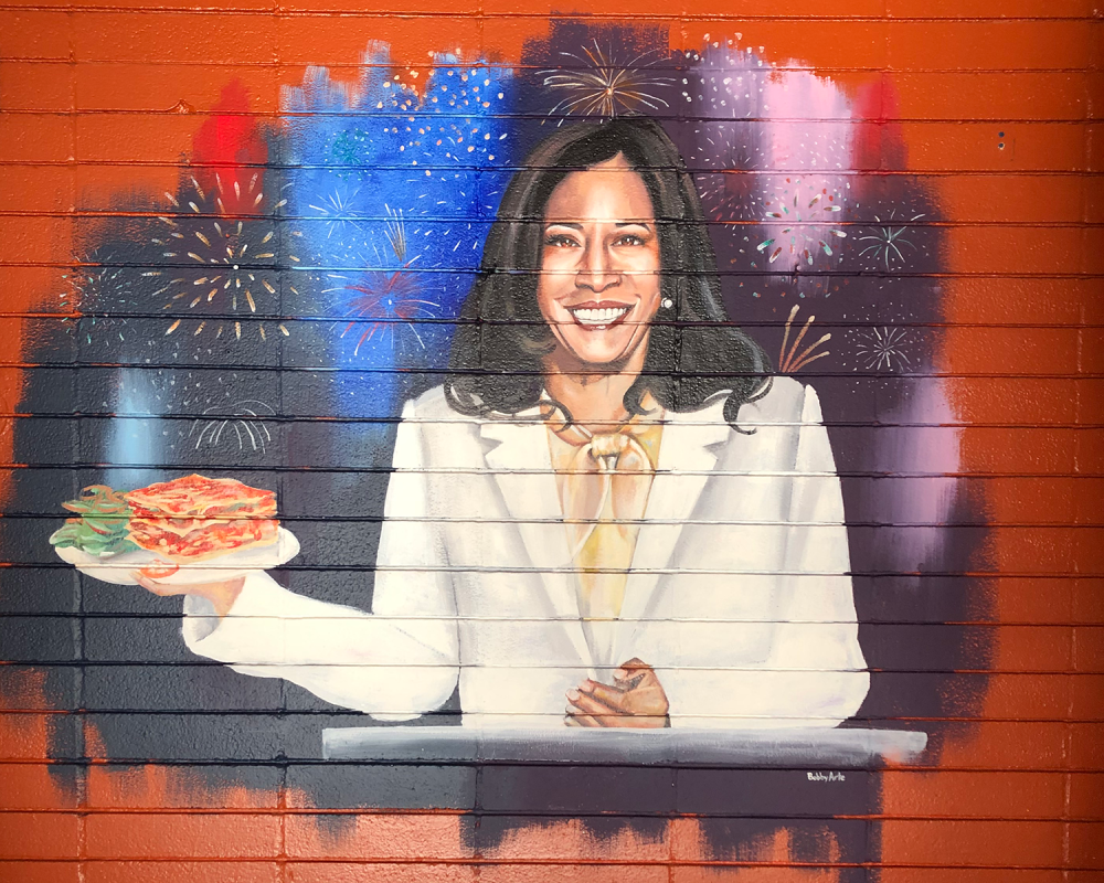 Keir and Kamala Cut from the Same Cloth